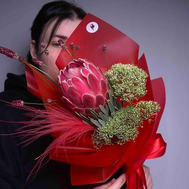 Плюмбус