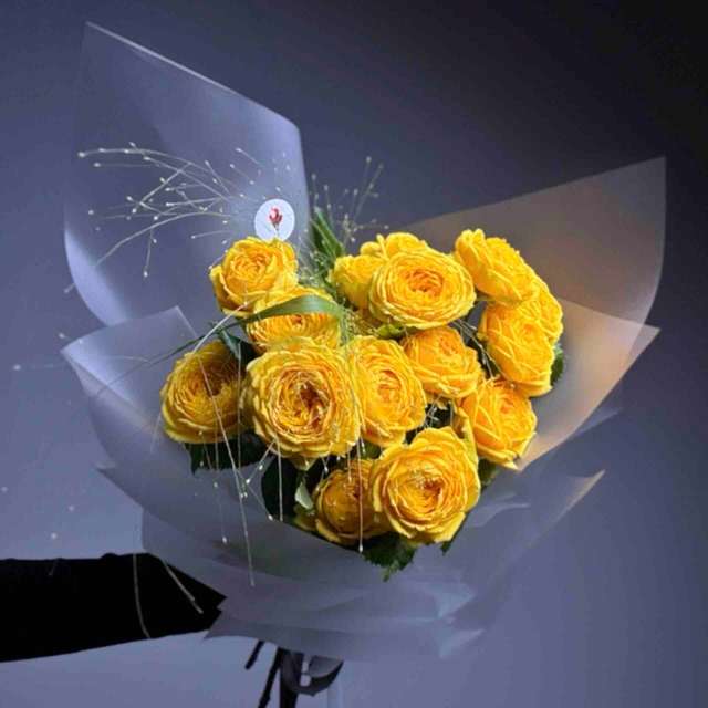 Экстраверт 