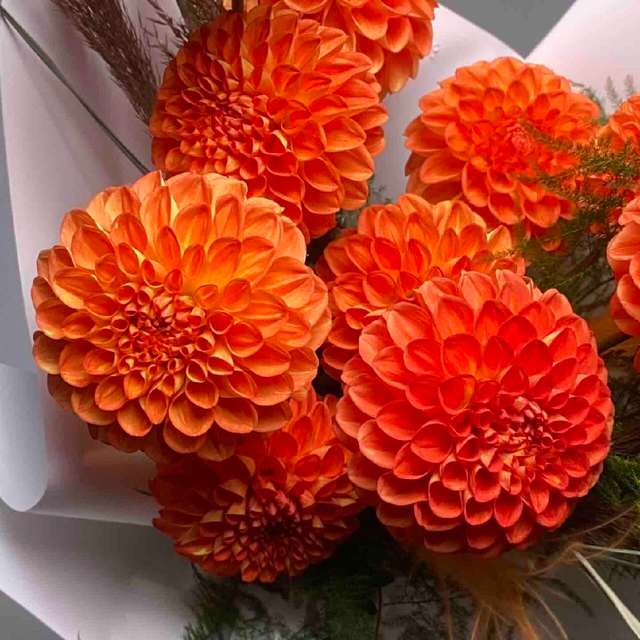Флек