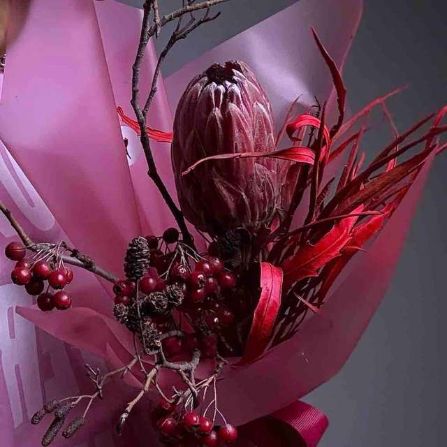 Таргариен младший