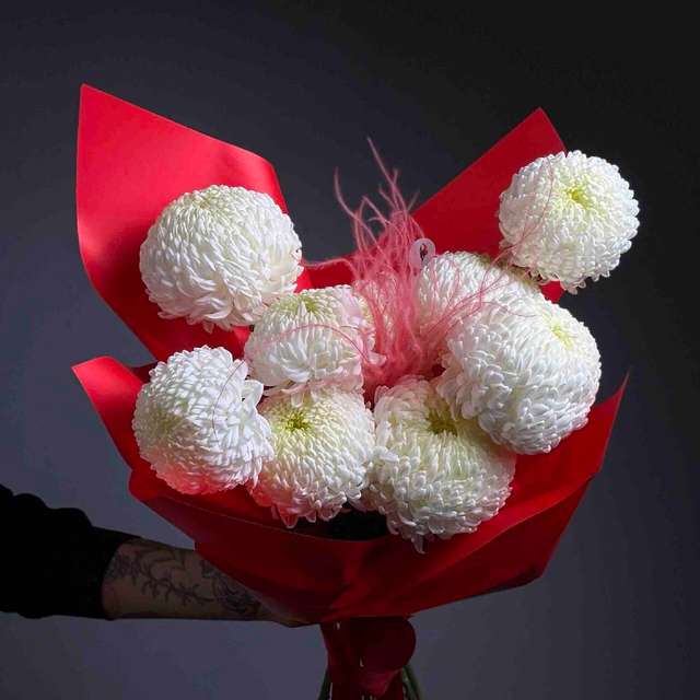 Фредди младший