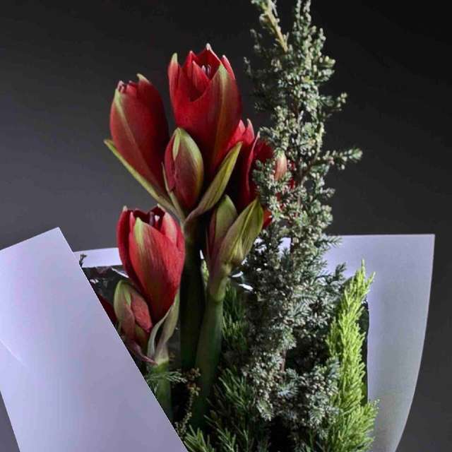 Хвойный банч